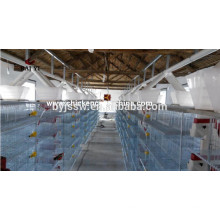 Metal Cage Of Quail Breeding Cage Manufacturer